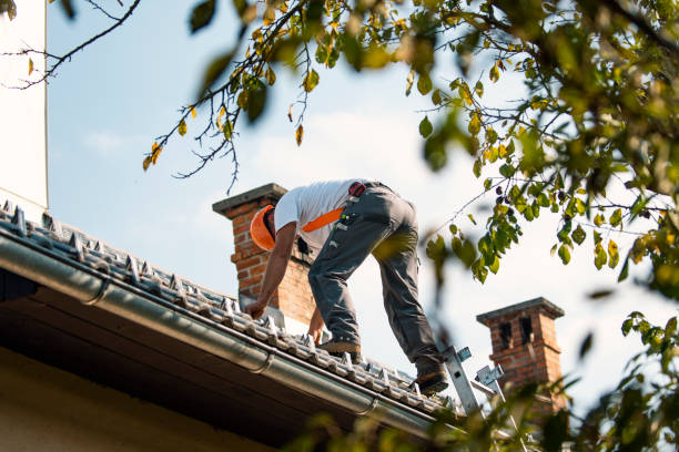 Professional Roofing Service in Reston, VA